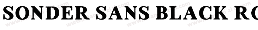 Sonder Sans Black Rough字体转换